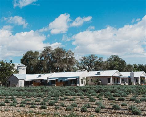 Los poblanos inn - Rooms & suites at Los Poblanos Historic Inn & Organic Farm hotel. Surrounded by 25 acres of cottonwood trees and lavender fields a few miles outside of Albuquerque, Los Poblanos hotel …
